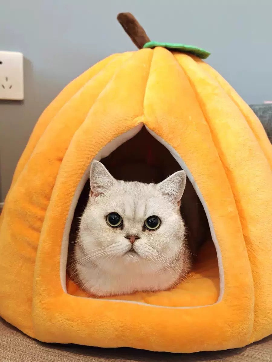 Pumpkin House Bundle