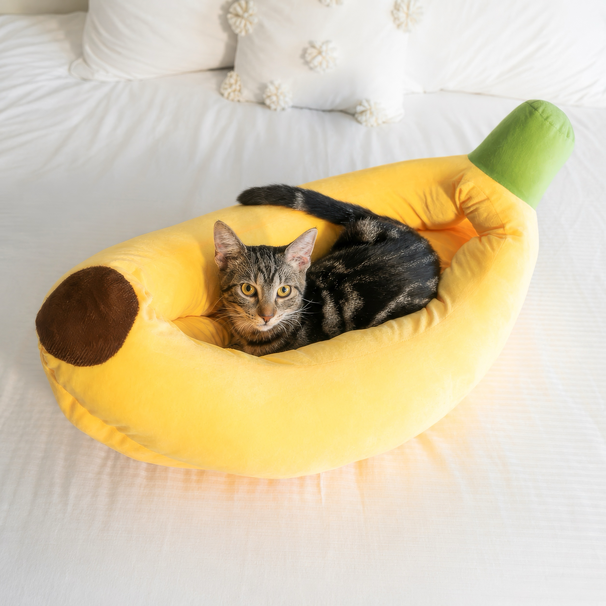 Banana + Pumpkin House