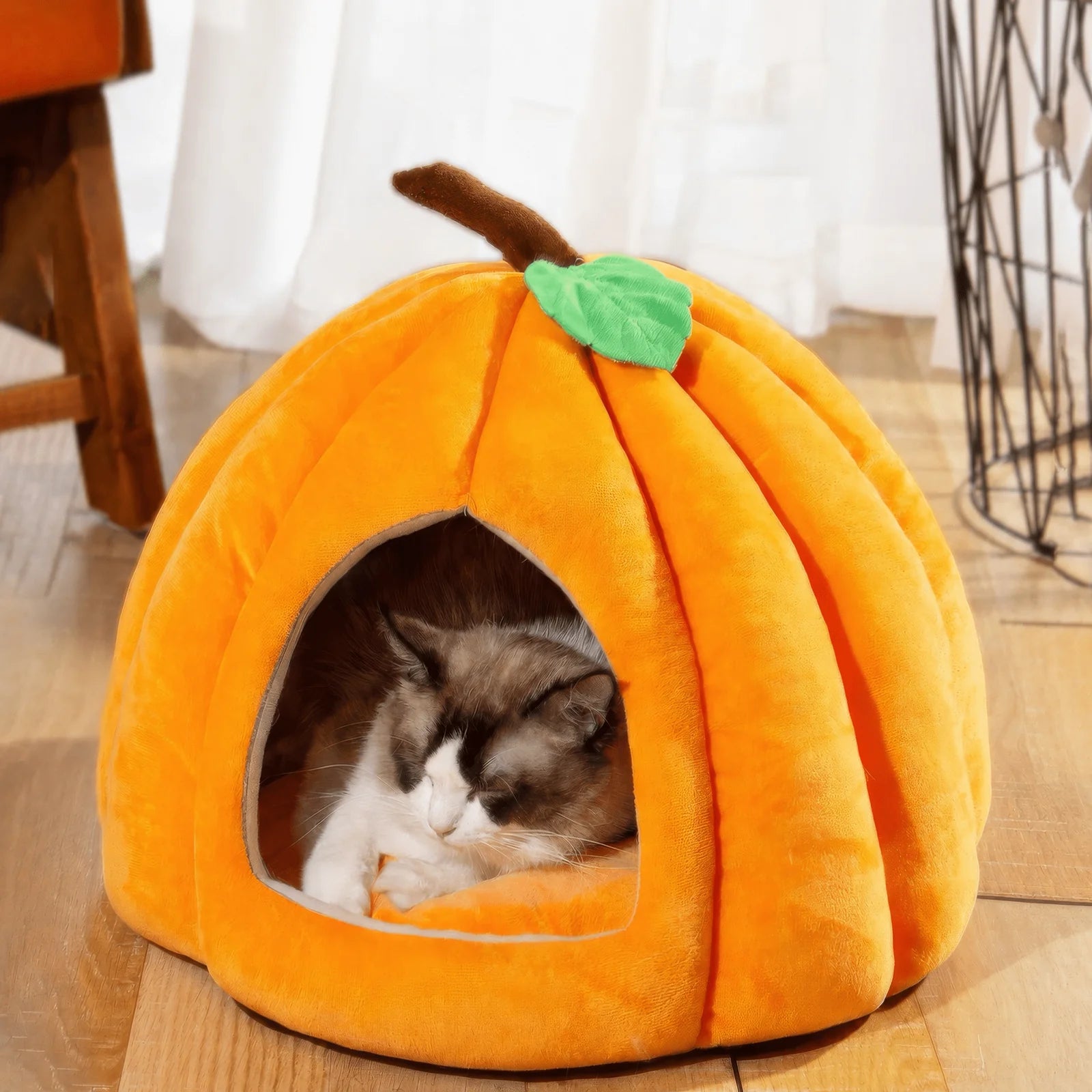 Banana + Pumpkin House