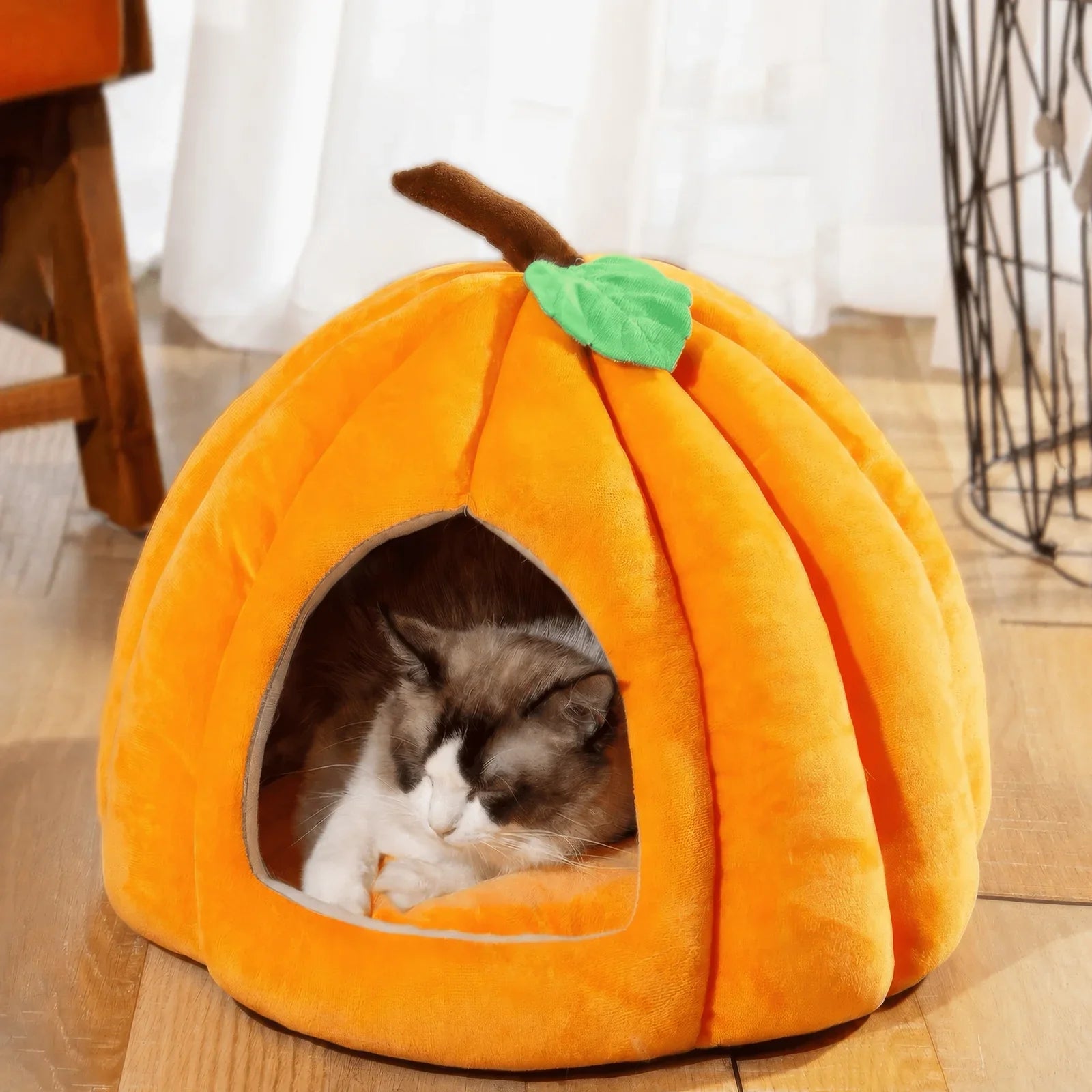 Banana + Pumpkin House