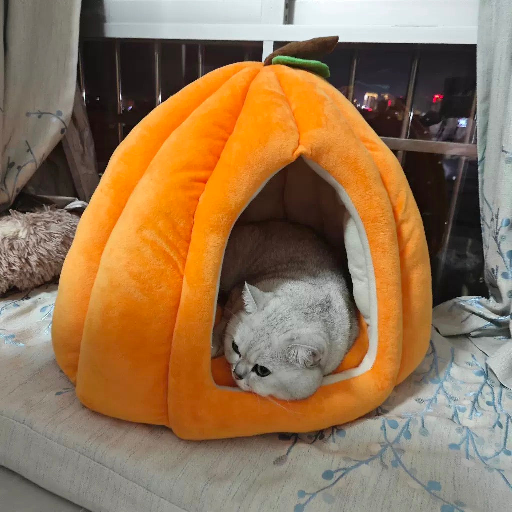 Pumpkin House Bundle