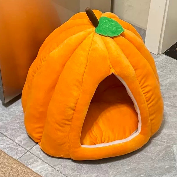 Banana + Pumpkin House