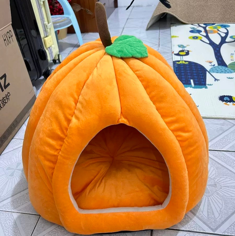 Pumpkin House