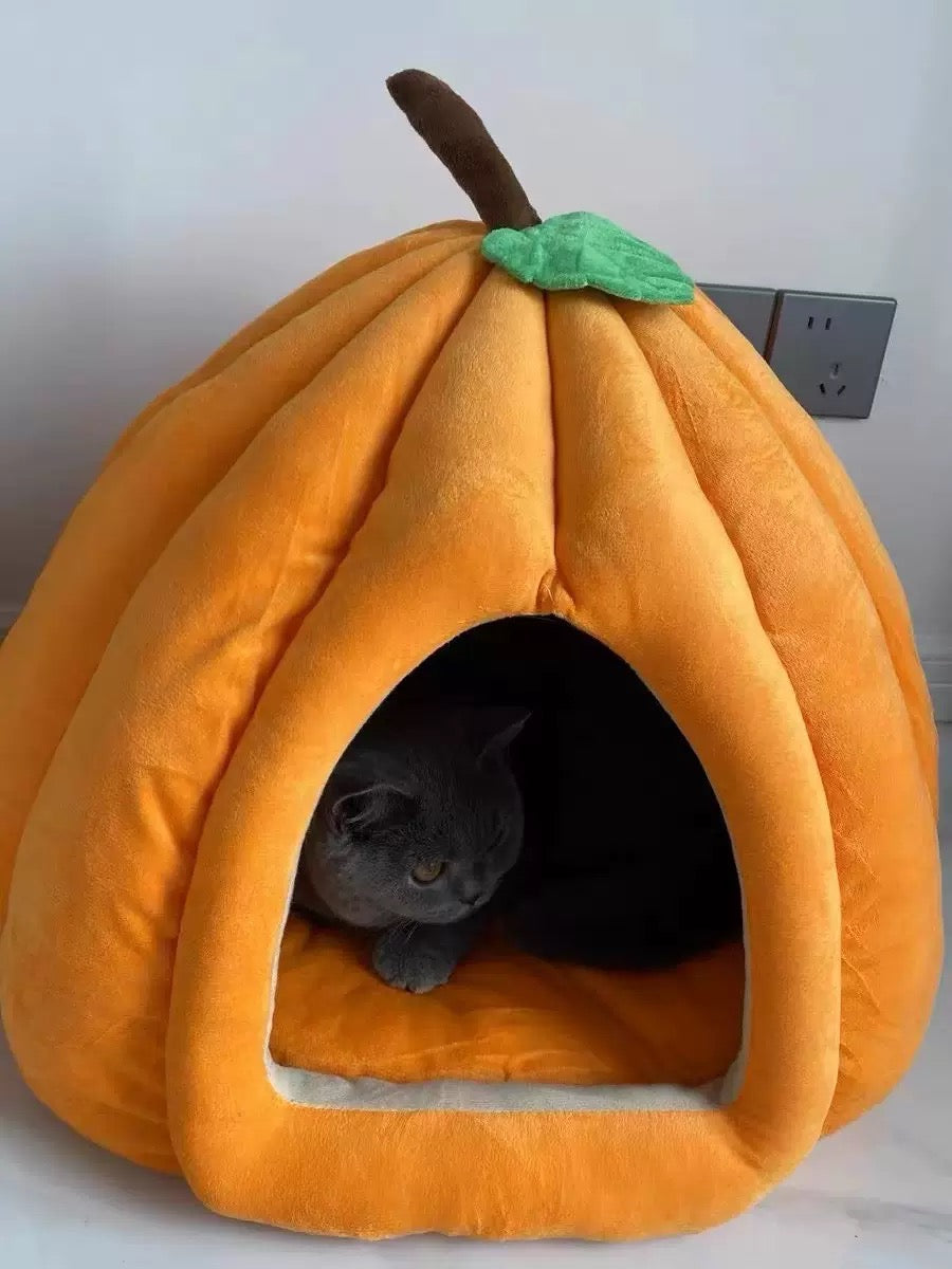Banana + Pumpkin House