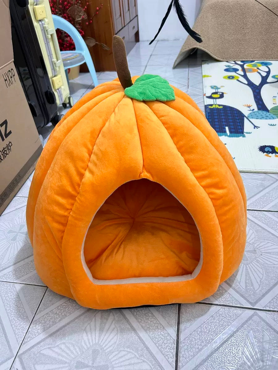 Banana + Pumpkin House