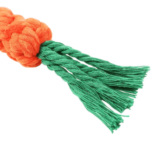 Carrot-shaped toy with a leafy green top