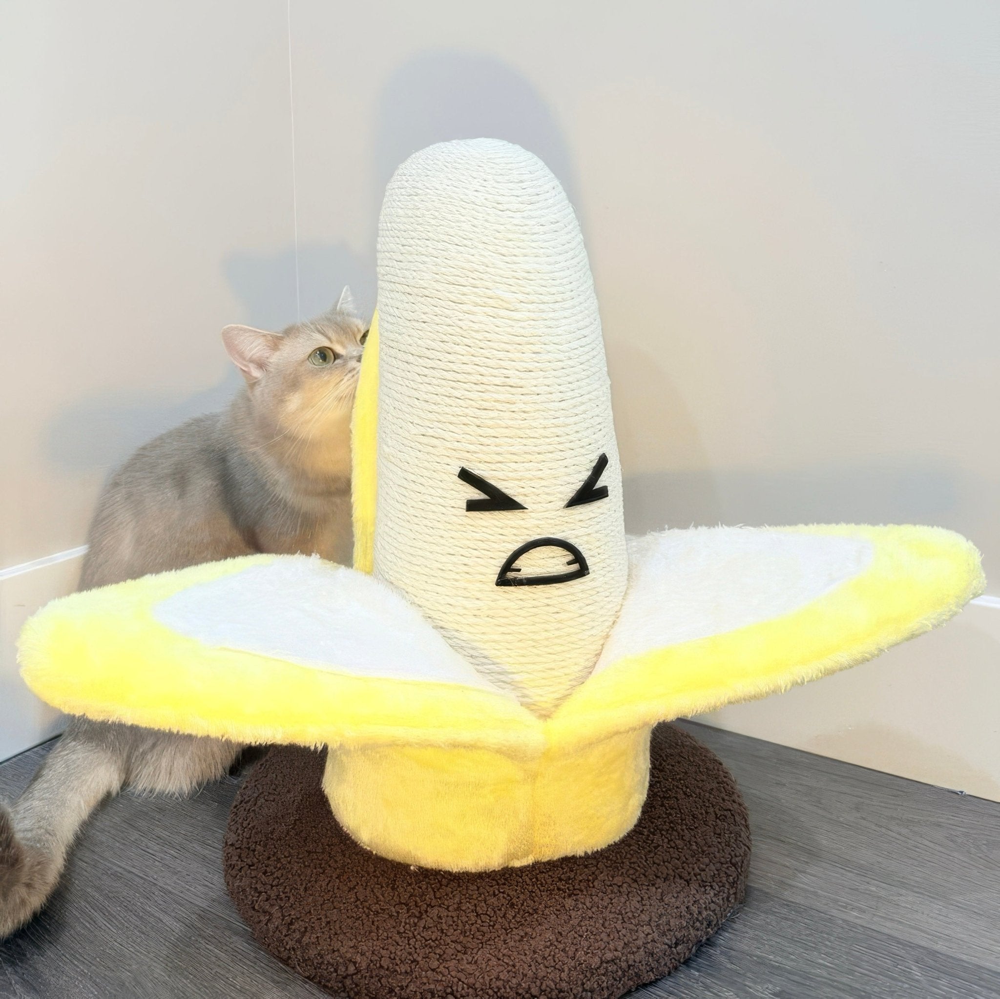 Cat playing with a funny banana scratcher