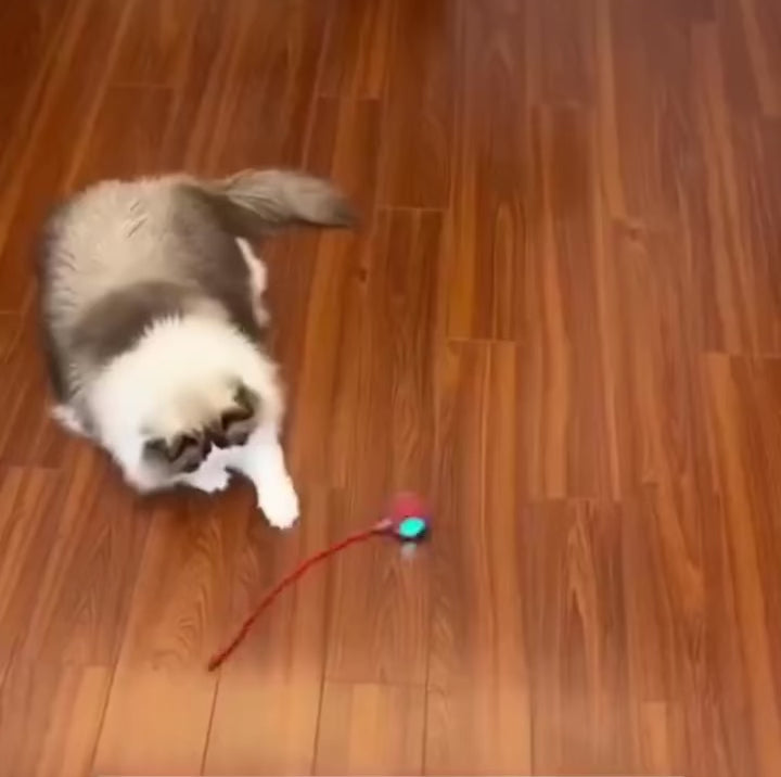 Smart Rolling Ball Pet Toy