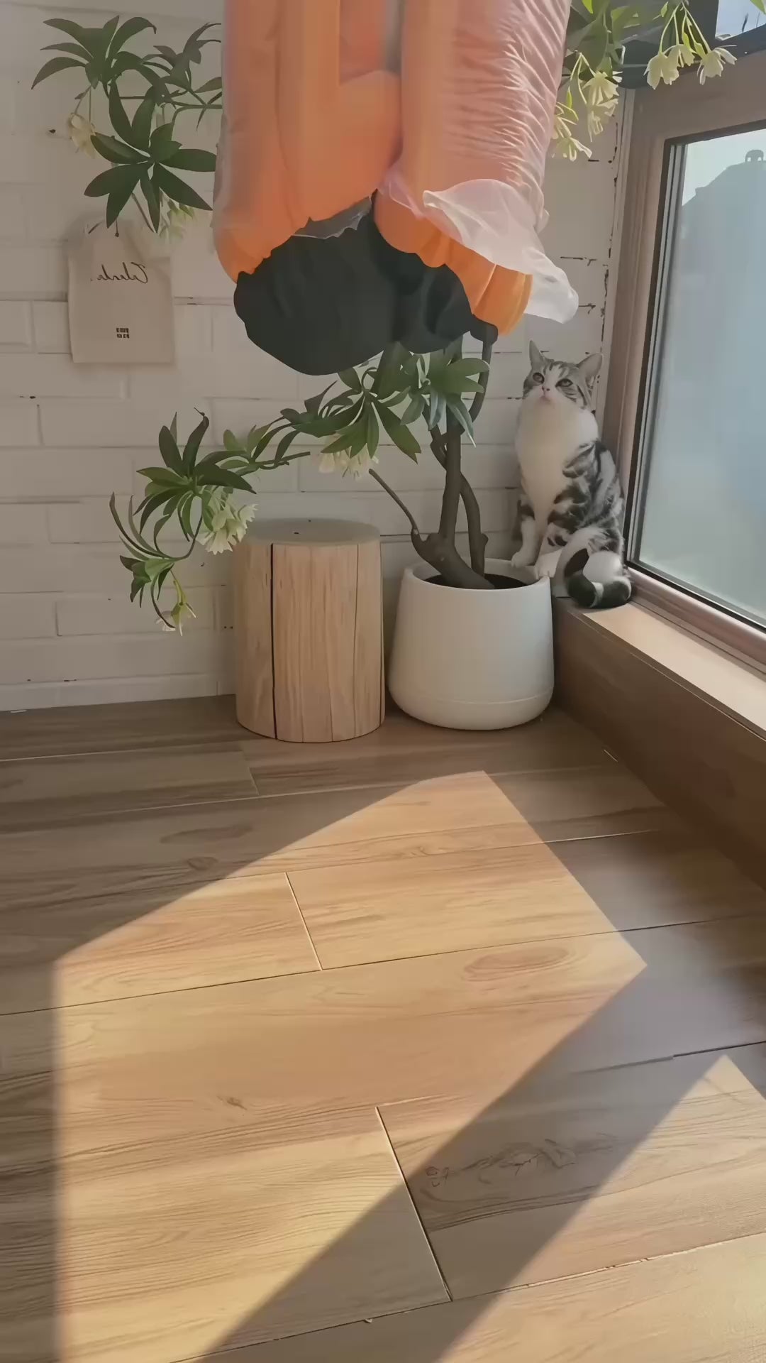Banana + Pumpkin House