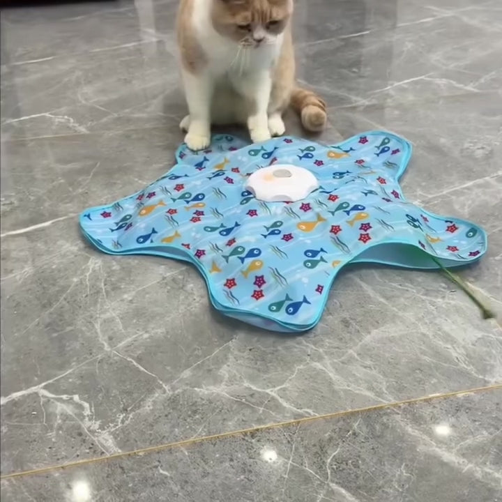 Interactive Starfish Cat Toy