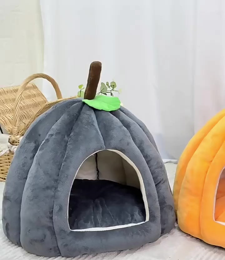 Banana + Pumpkin House
